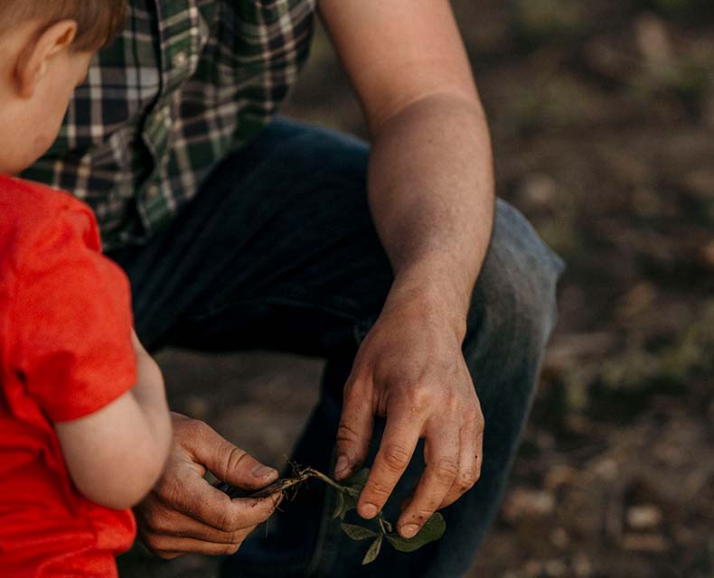 Adult and child looking at plants in the soil.