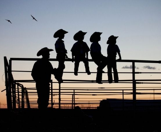 A father and his four sons leaning on cattle fence at sunset