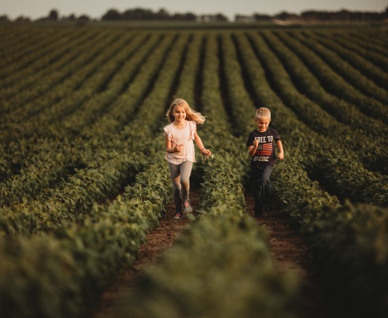 a couple of kids run through the rows in a bean field